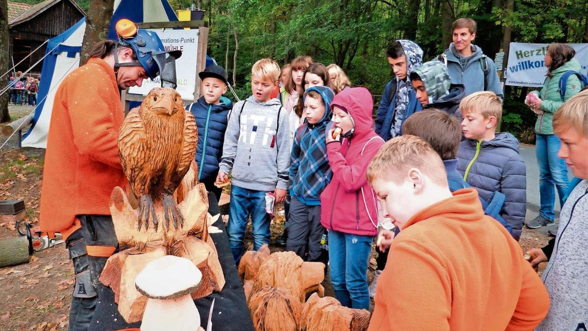 Stadtsteinach: Den Wald hautnah erleben