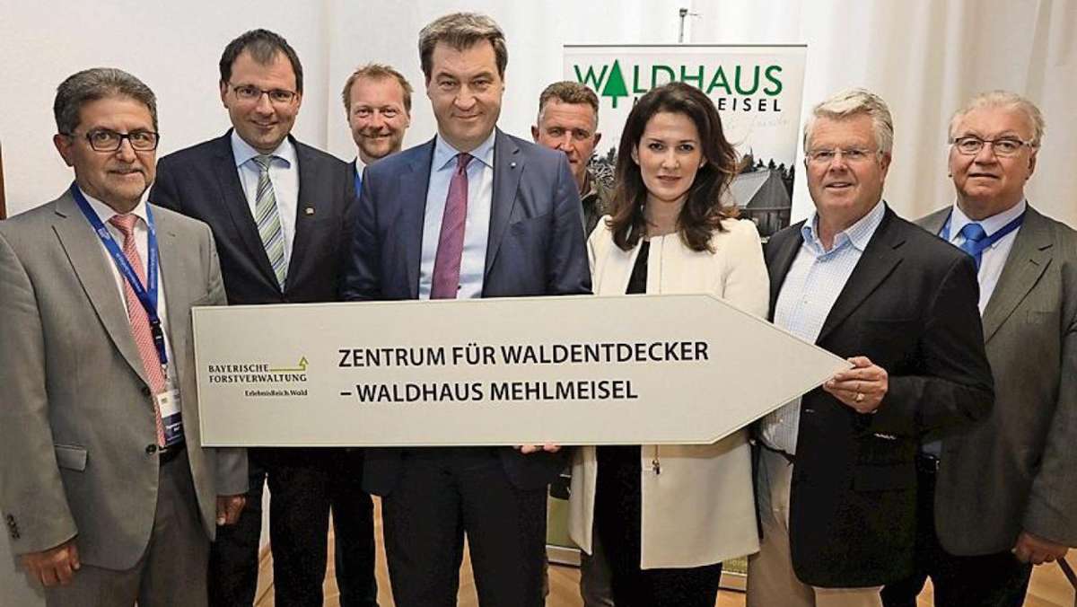 Mehrmeisel: In Mehlmeisel entsteht Zentrum für Waldentdecker