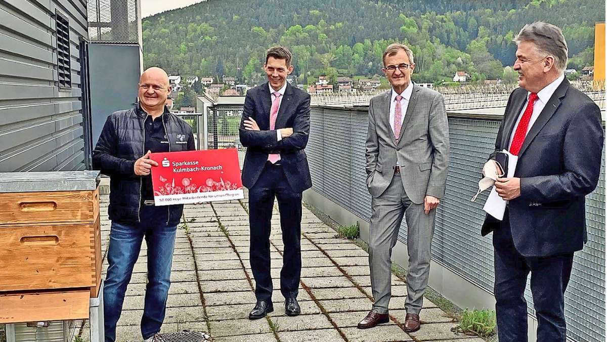 Eine Bank mietet Bienen:: 50. 000 neue „Einwohner“ für Kulmbach