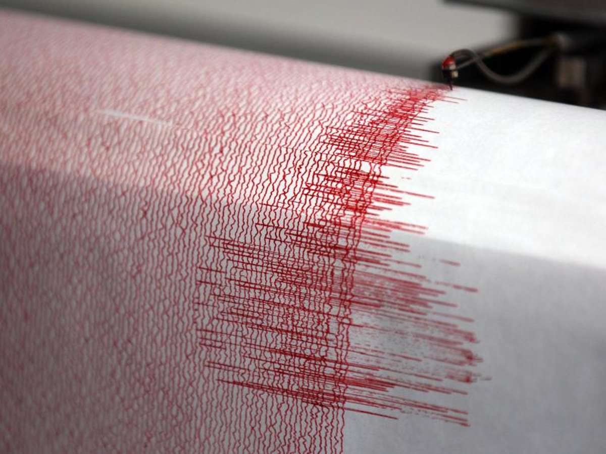 Seismograph einer Erdbebenwarte. Foto: Oliver Berg/Symbol