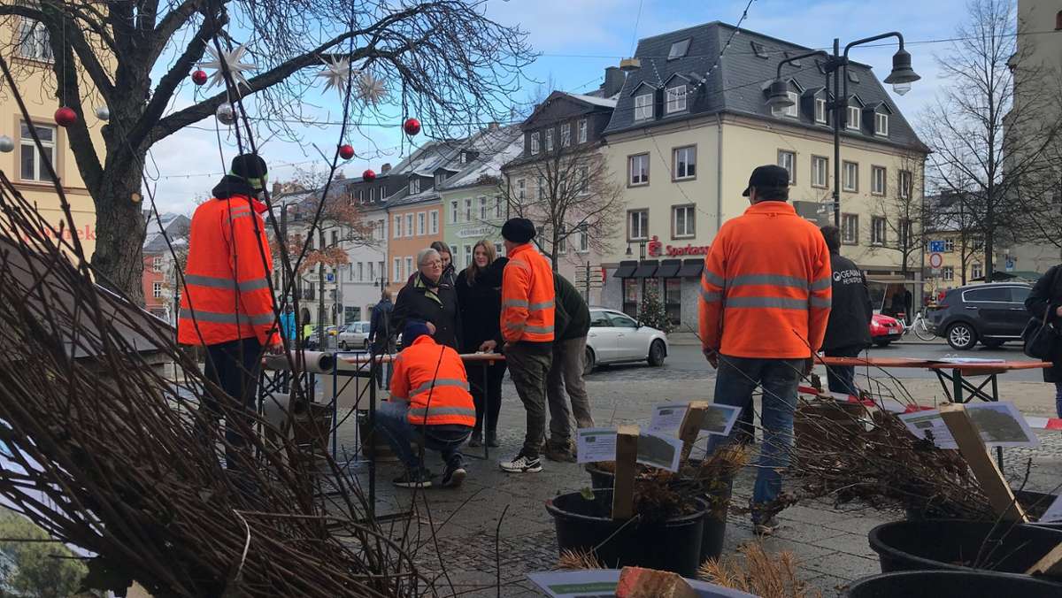 Hof: Stadt Hof verschenkt Bäume - großer Ansturm