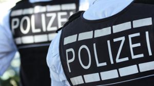 Kripo ermittelt: Gestohlener Radlader in Polen gefunden