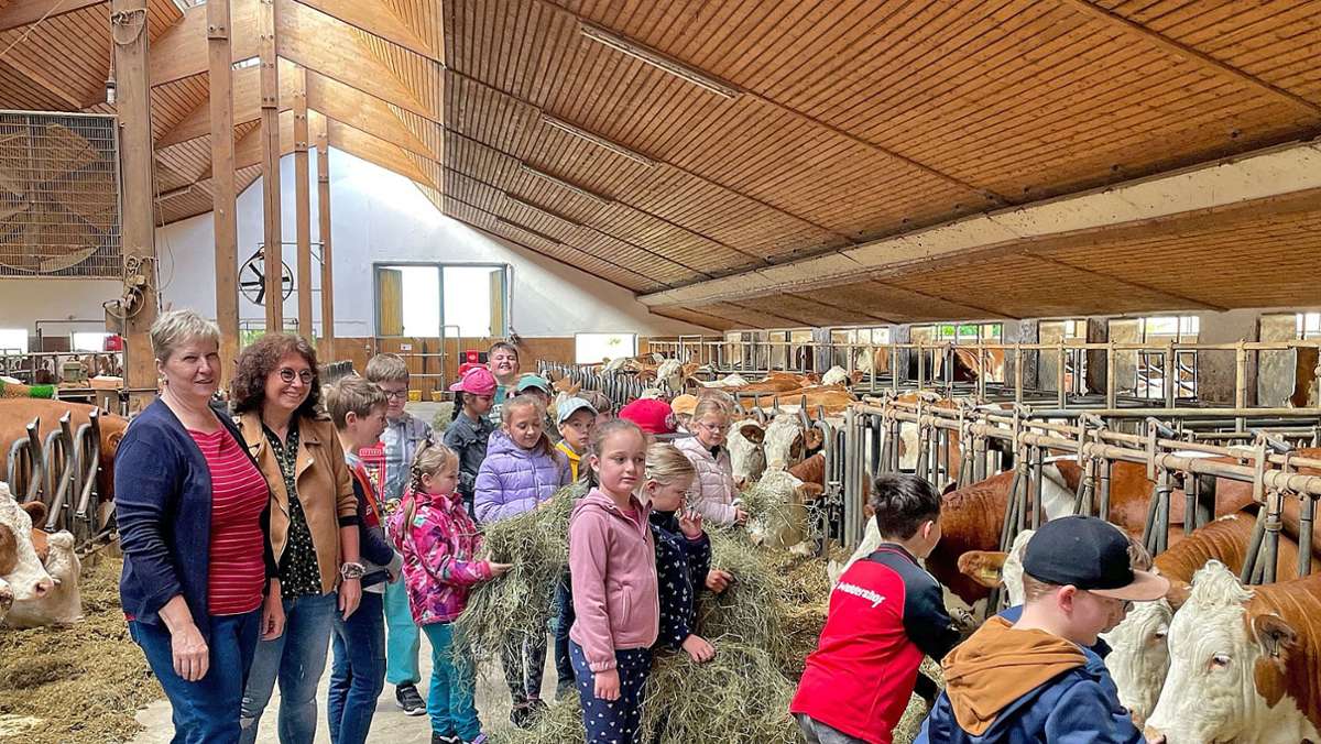 Waldershof:: Wenn  Kinder und Kühe Freunde werden
