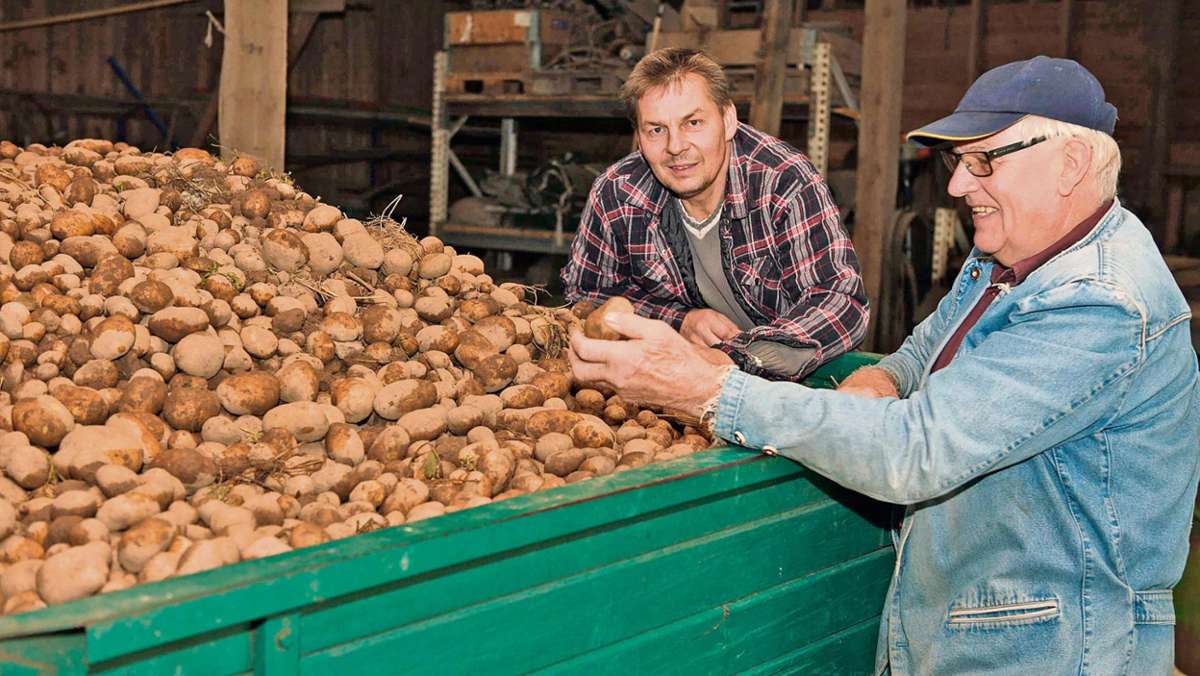 Lindau/Tennach: Nasse Äcker erschweren Kartoffellese