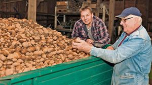 Nasse Äcker erschweren Kartoffellese