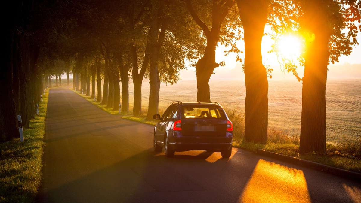 Sonne steht tief: Auto kracht gegen Baum