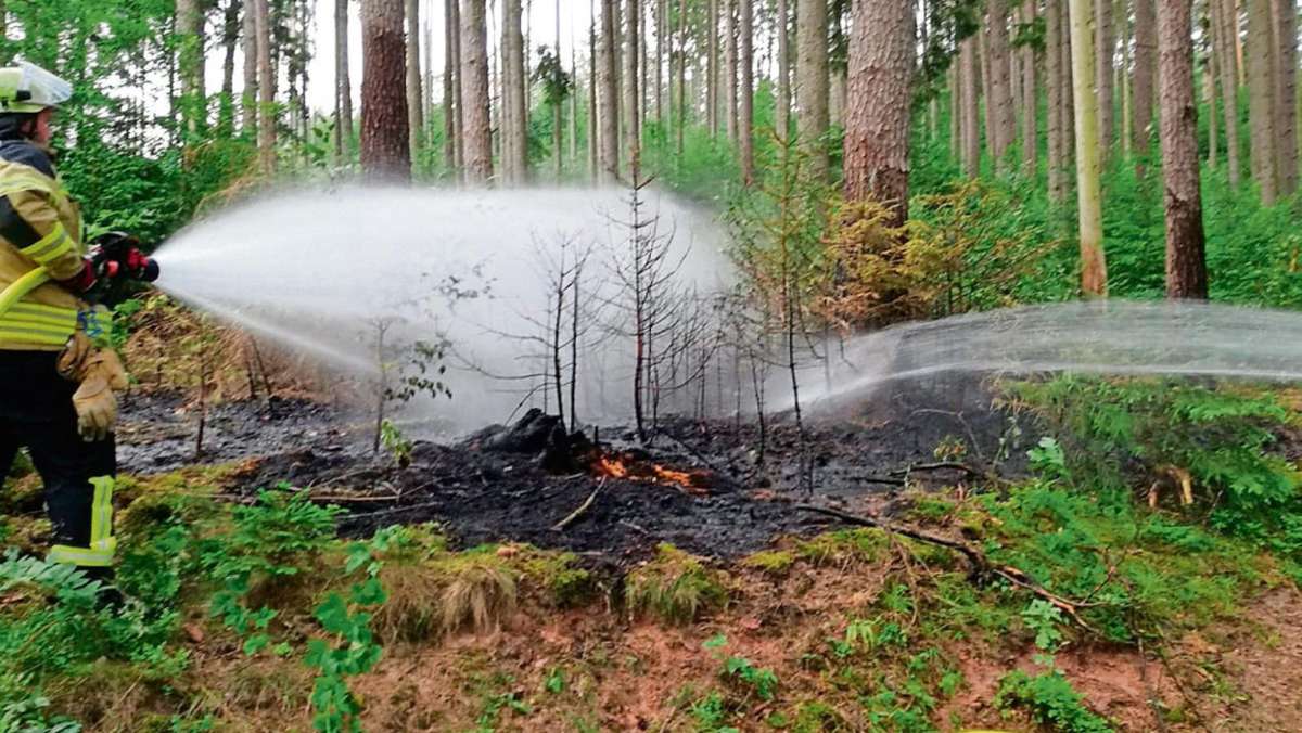 Neudrossenfeld/Unterobsang: Feuer im Wald bei Unterobsang