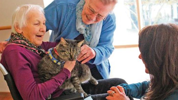 Katzen und Kaninchen tun Senioren gut