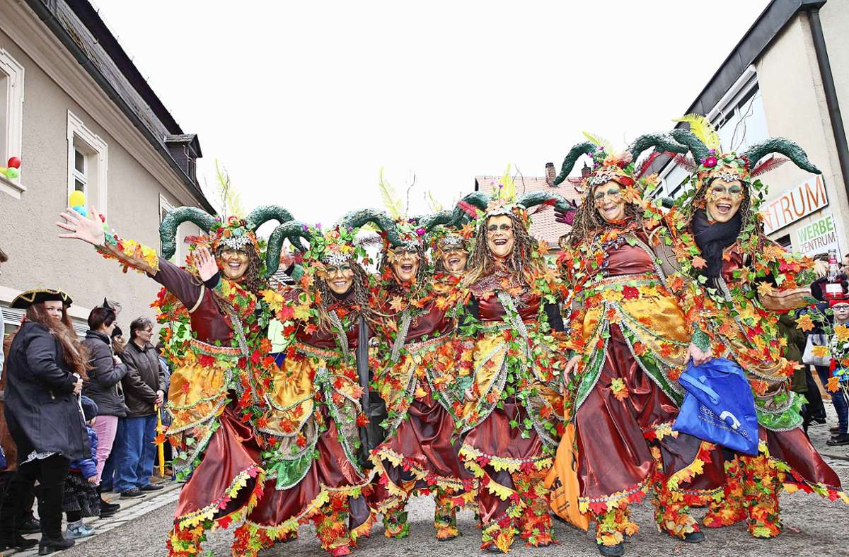 Vor Corona jedes Jahr ein Spektakel im Landkreis Kulmbach: der Fasching als Kulturgut in praktisch allen  Städten und Gemeinden.