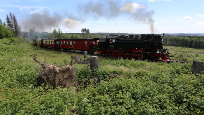 Sommerfahrplan der Harzer Schmalspurbahnen startet Freitag