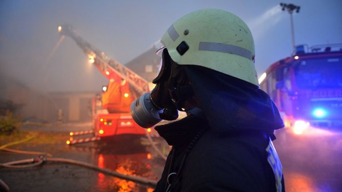 Höchstädt-Thierstein: Feuerwehr-Fusion einen Schritt weiter