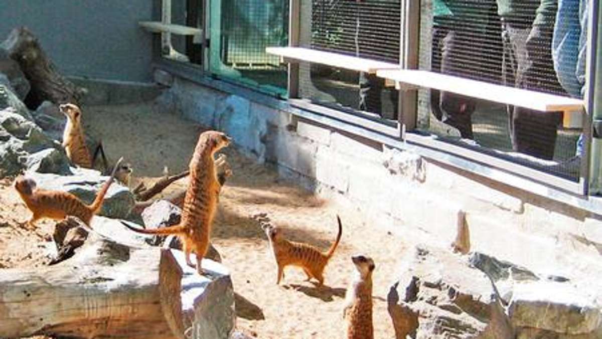 Hof: Rettung für den Zoo: Stiftung spendet 15.000 Euro