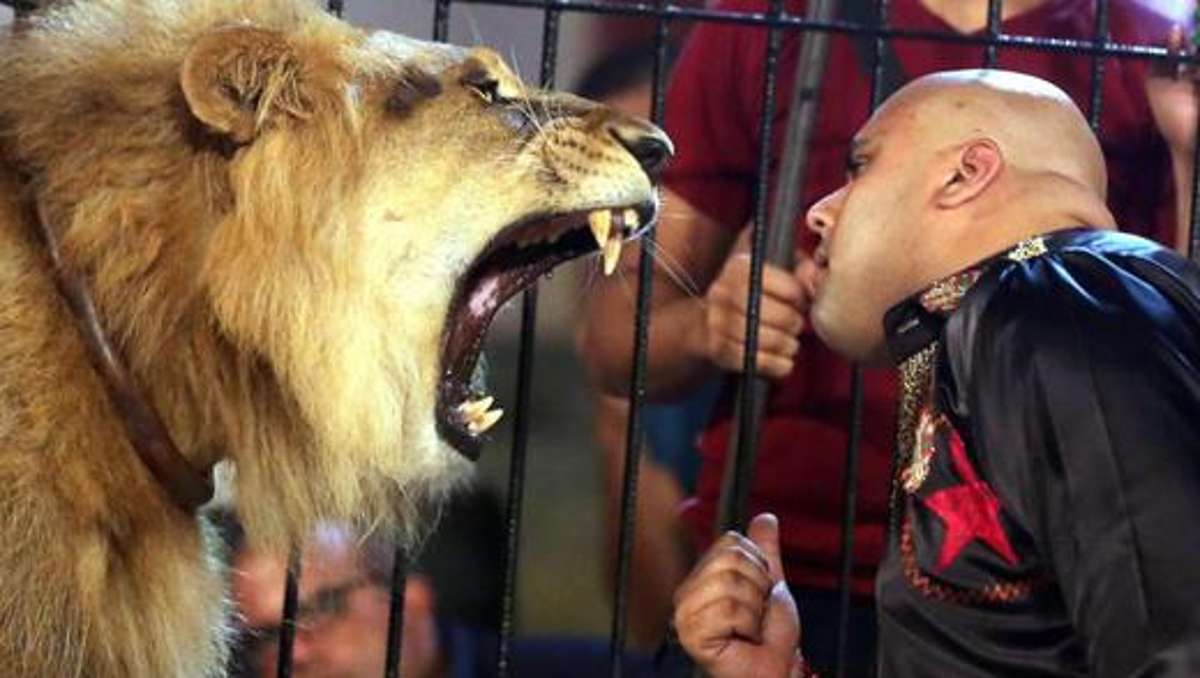 Selb: Selb stellt Tierschutz über Zirkus-Interessen