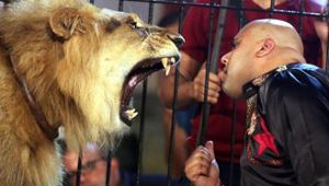 Selb stellt Tierschutz über Zirkus-Interessen