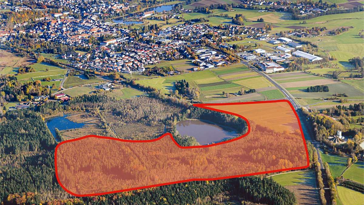 30 Hektar Wald sollen weg: LBV kritisiert Pläne für Ziegler-Megawerk