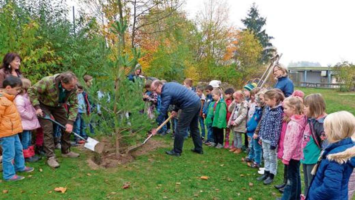 Kulmbach: Bäume als Erinnerung an die Schulzeit