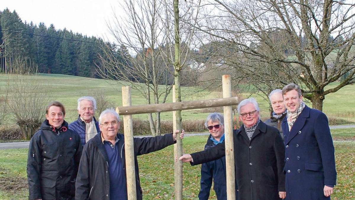 Bad Steben: Junger Baum ersetzt 200 Jahre alte Ulme