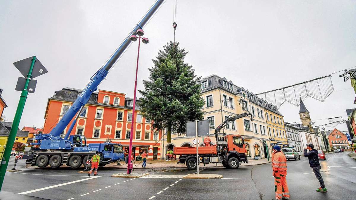 Selb: Tanne aus dem Ahornweg ist der Selber Weihnachtsbaum 2019