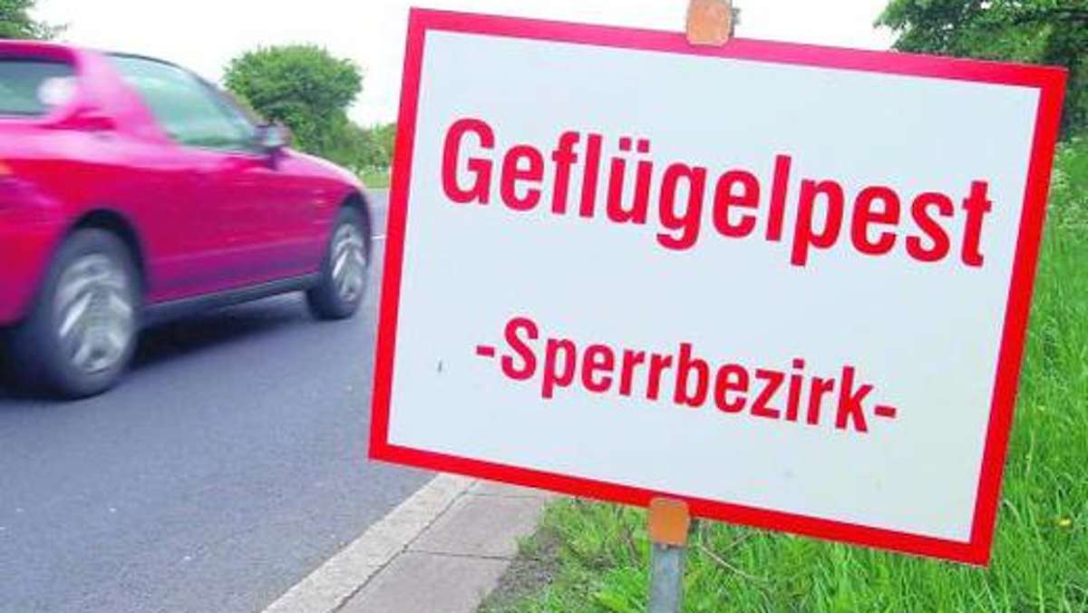 Kulmbach: Wachtel trägt Vogelgrippe nach Gösmes