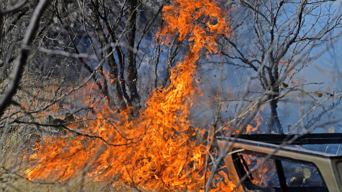 Trockenheit in Oberfranken: Die Waldbrandgefahr ist hoch