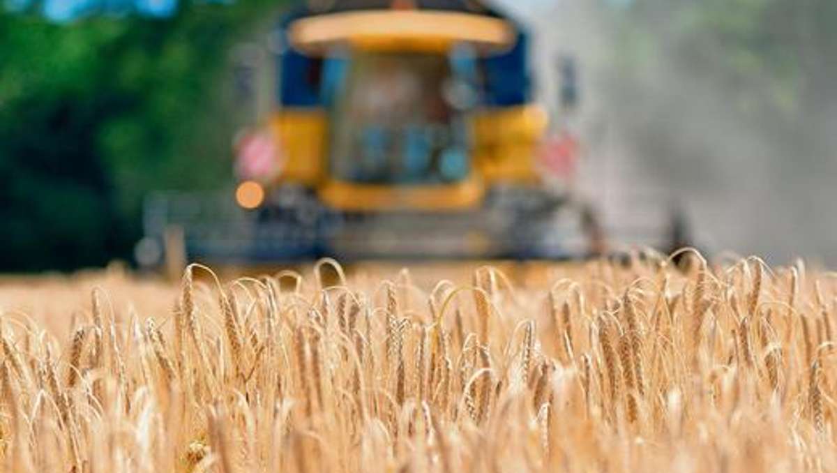 Rehau: Landwirte überrascht die gute Ernte