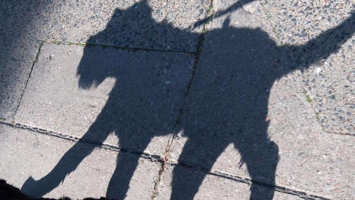 Hof: Hund beißt Fußgängerin gleich zwei Mal
