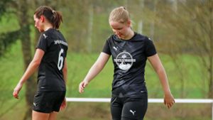 Fußball-Landesliga: Comeback in Röslau geht schief