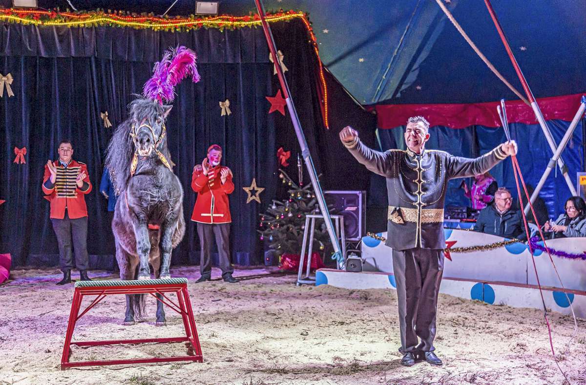 Zirkus-Chef  Renato Kübler  mit „Goliath“, der als Riesenpferd  mit einer Tonne Gewicht angekündigt wurde, dann aber  eher putzig daherkam.