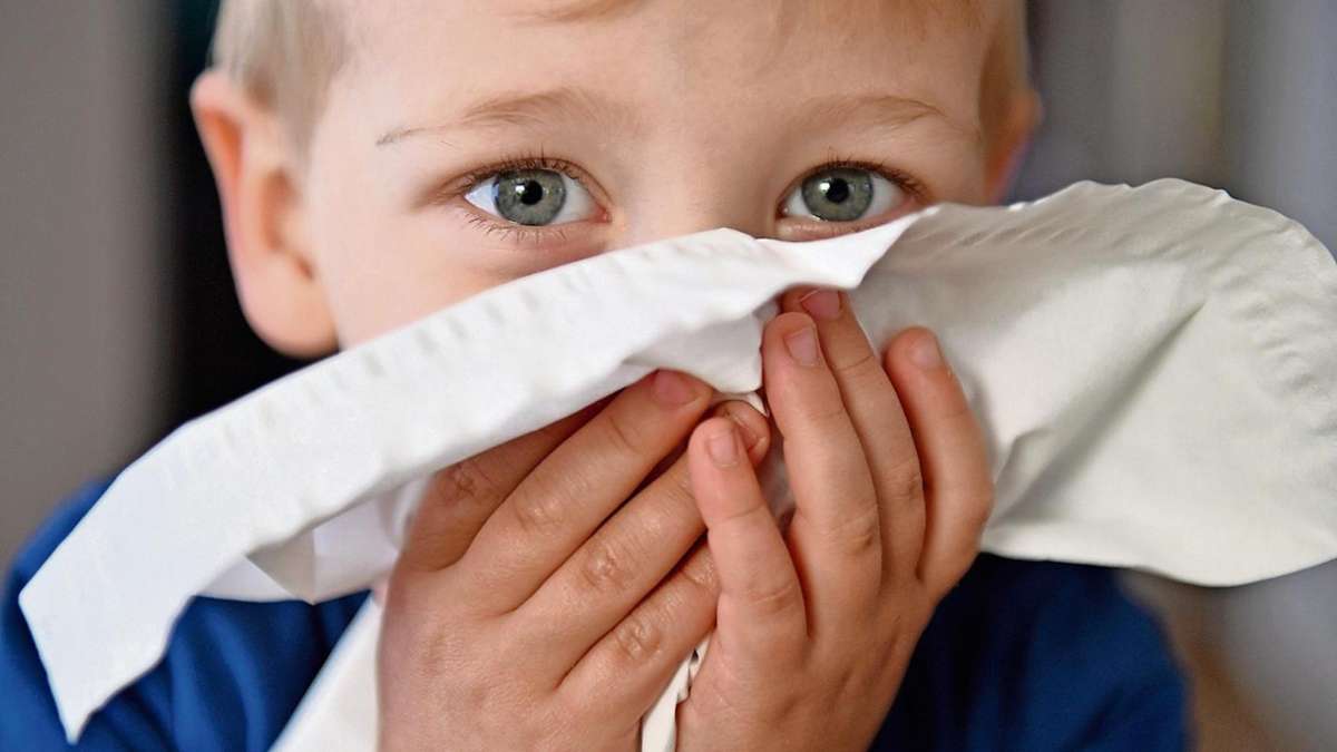 Wunsiedel: Die Grippewelle rollt im Fichtelgebirge an