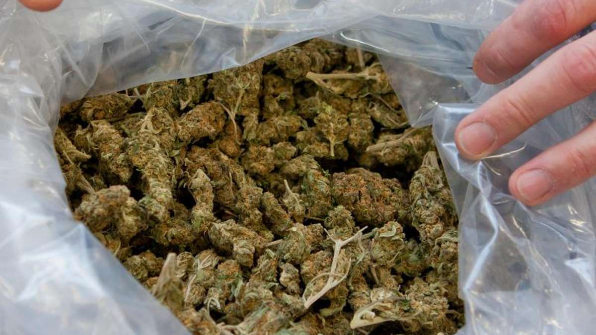 Hof: Polizei entdeckt zufällig Marihuana-Aufzucht