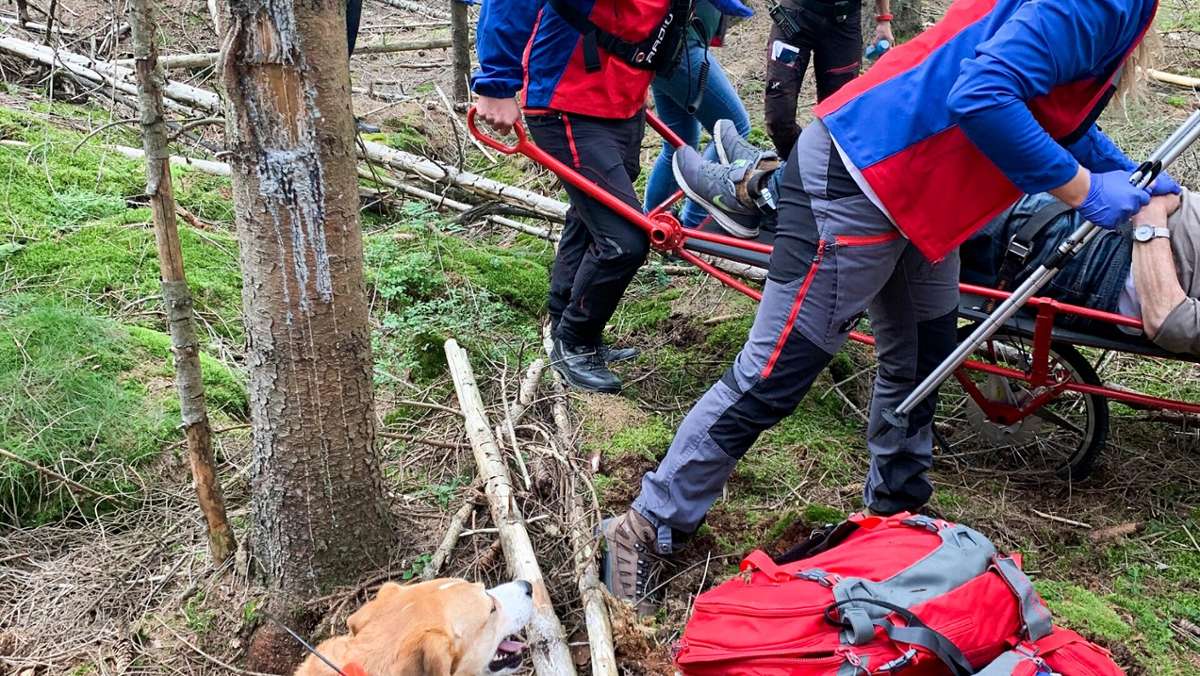 Fichtelgebirge: Bergwacht findet Vermissten im Wald
