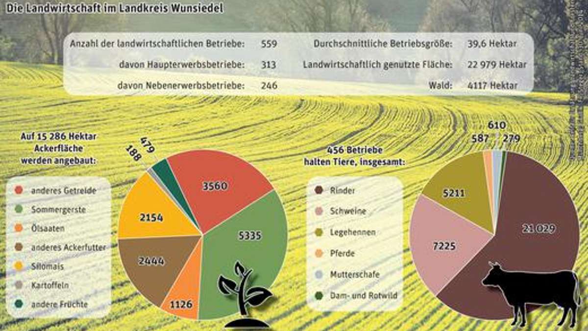 Wunsiedel: Landwirte beklagen niedrige Preise