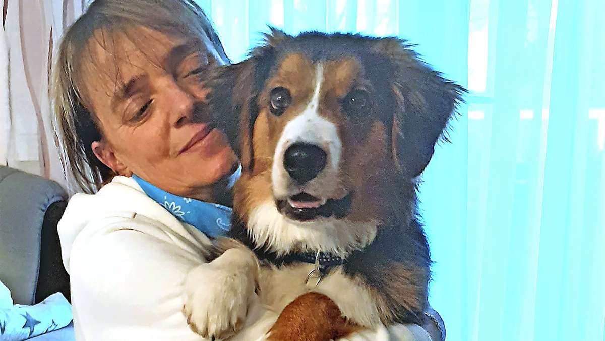 Entlaufener Hund: Benny glücklich wieder zu Hause