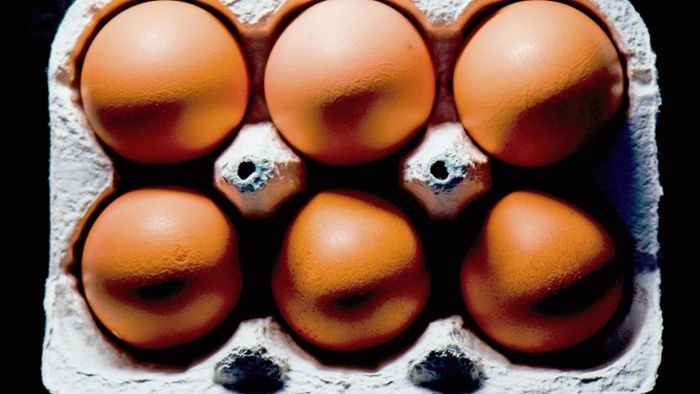 Landwirt verkauft falsche Bio-Eier