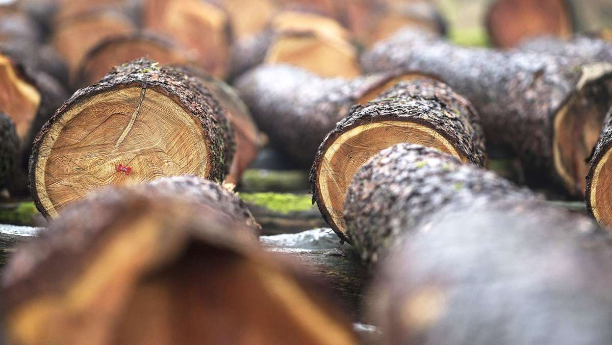Brennholz: Riesige Nachfrage und steigende Preise