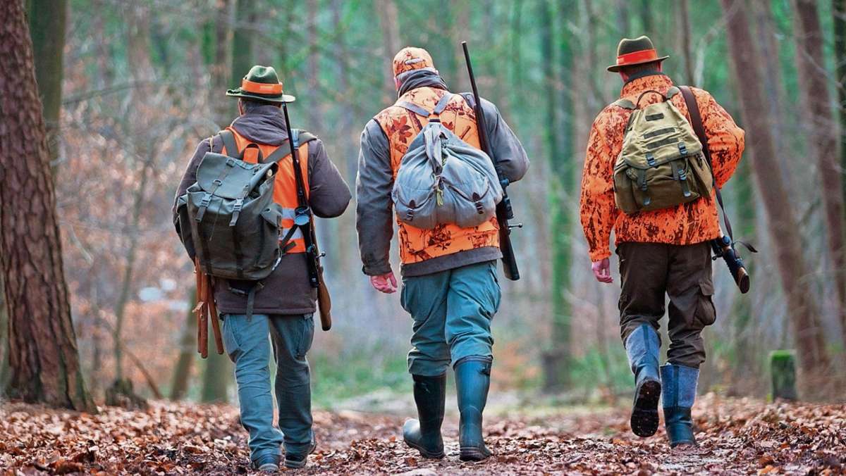 Länderspiegel: Jäger finden Leichnam im Wald