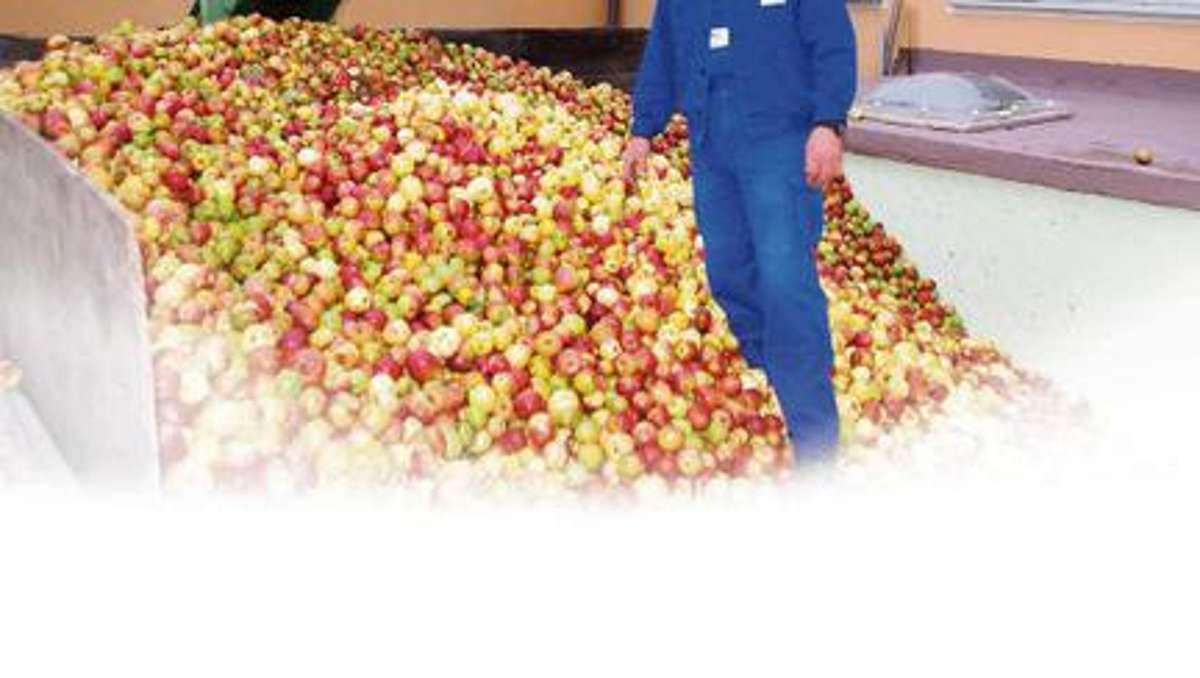 Kulmbach: Apfelernte bricht alle Rekorde