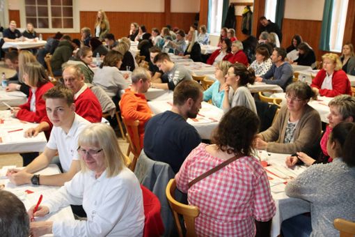 Mehr als 500 Menschen lassen sich in Regnitzlosau als potenzielle Stammzellenspender registrieren. Foto: Isabel Wilfert