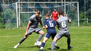 Fußball-Bezirksliga: Selbitz und Trogen feiern