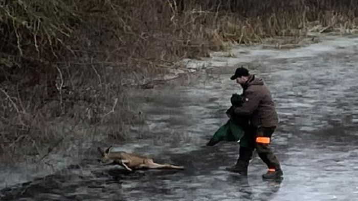 Tierischer Einsatz in Brühl: Jäger rettet  Reh aus Eis