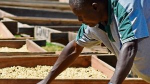 Vom Frankenwälder zum tansanischen Kaffee-Forscher