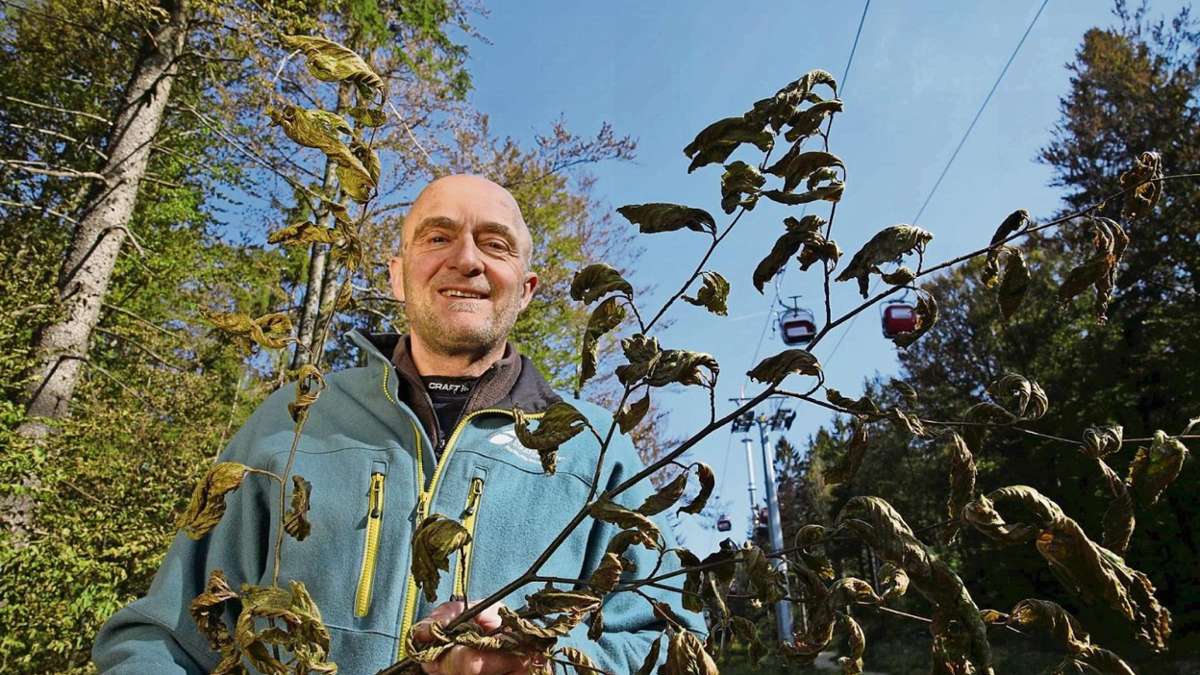 Fichtelberg: Eisheilige sorgen für Frost im Forst