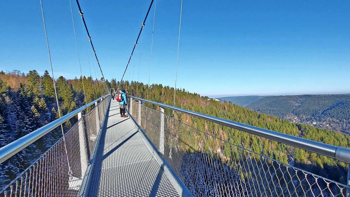 Hängebrücken: Gipfelerlebnis   ganz ohne Bergtour