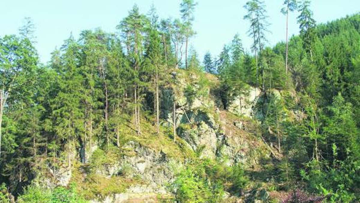 Kulmbach: Der Wald als Erlebnis