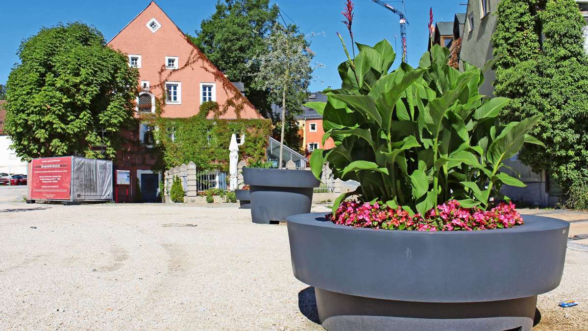 In Marktredwitz: Blumentopf-Riesen in der Innenstadt