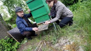 140.000 Bienen am Niederrhein mit Lack und Chlor vergiftet