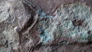 Forscher finden immer mehr Saurierspuren in Steinbruch