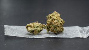 Cannabis-Anbauer in Lauerstellung