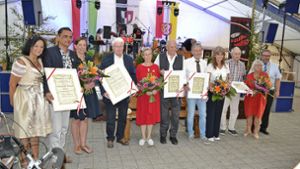 Hohenberg a. d. Eger: Ehrenmedaillen und -ringe für verdiente Bürger
