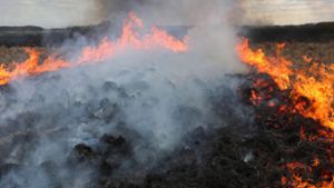 Illegaler Sperrmüll: Feuerwehreinsatz: Wiese bei Höchstädt brennt ab